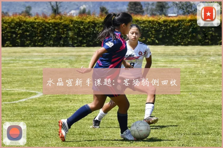 水晶宫新季课题:客场弱侧回收